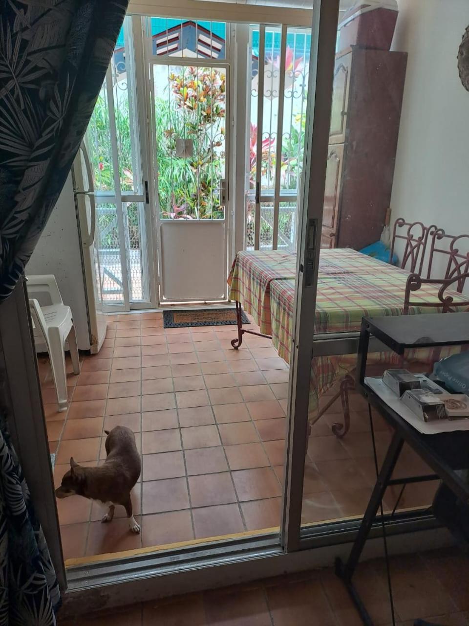 Appartement T2 Meuble Tout Confort Le Gosier  Exterior foto